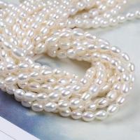 Rice Cultured Freshwater Pearl Beads, DIY, white, 3-4mm Approx 14-15 Inch 