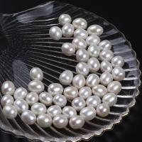 Naturales agua dulce perlas sueltas, Perlas cultivadas de agua dulce, Arroz, Bricolaje, más colores para la opción, 10-11mm, Vendido por UD