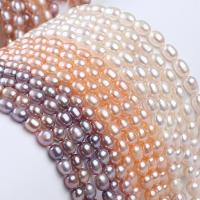 Rice Cultured Freshwater Pearl Beads, DIY 7-8mm Approx 14-15 Inch 