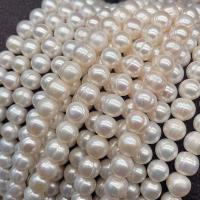 Bouton de culture des perles d'eau douce, perle d'eau douce cultivée, DIY & normes différentes pour le choix, blanc Environ 14.17 pouce, Vendu par brin