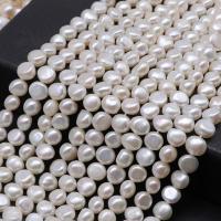 Baroque Cultured Freshwater Pearl Beads, DIY white Approx 14.17 Inch 