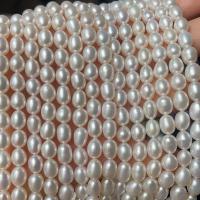 Rice Cultured Freshwater Pearl Beads, DIY white Approx 36-38 cm 