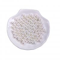 Shell Pearl Beads, Round, polished, DIY & no hole, white 