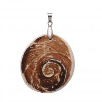 Natural Seashell Pendant, Shell, Unisex, mixed colors 