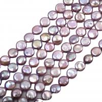 Coin Cultured Freshwater Pearl Beads, Flat Round, DIY, purple, 12-13mm, Approx 