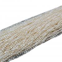Бусины из искусственного пресноводного жемчуга в форме риса, Пресноводные жемчуги, DIY & разный размер для выбора, белый, длина:Приблизительно 36-38 см, продается Strand