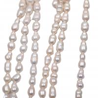 Perles nacres baroques de culture d'eau douce , perle d'eau douce cultivée, DIY, blanc, 6-7mm Environ 36 cm, Vendu par brin