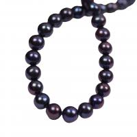 Round Cultured Freshwater Pearl Beads, DIY, black, 8-9mm Approx 36-38 cm 