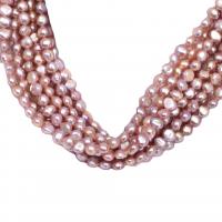 Button Cultured Freshwater Pearl Beads, DIY, purple, 5-6mm Approx 36-38 cm 