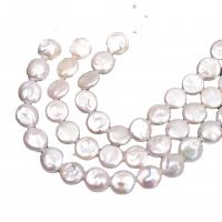 Coin Cultured Freshwater Pearl Beads, Flat Round, DIY white 