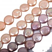 Pièce de culture des perles d'eau douce, perle d'eau douce cultivée, Plat rond, DIY, plus de couleurs à choisir, 13-14mm, Environ Vendu par brin