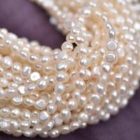 Button Cultured Freshwater Pearl Beads, DIY, white, 4-5mm Approx 36-38 cm 