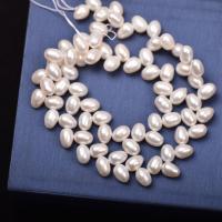 Rice Cultured Freshwater Pearl Beads, DIY, white, 6-7mm Approx 36-38 cm 