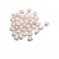 No Hole Cultured Freshwater Pearl Beads & DIY, white, 10-11mm 