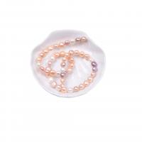 Bouton de culture des perles d'eau douce, perle d'eau douce cultivée, DIY, couleurs mélangées, 8mm Environ 37-40 cm, Vendu par brin