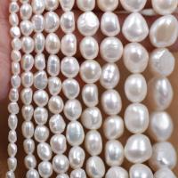 Rice Cultured Freshwater Pearl Beads, DIY white Approx 36-39 cm 