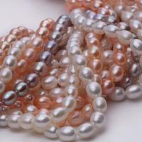 Rice Cultured Freshwater Pearl Beads, DIY & for woman 5-6mm Approx 15.7 Inch 