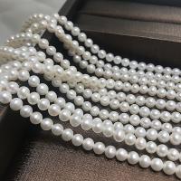Round Cultured Freshwater Pearl Beads, DIY & for woman, white, 4-5mm Approx 15 Inch 