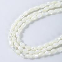 Trochus Shell Perle, poliert, DIY & verschiedene Größen vorhanden, weiß, Länge:ca. 14 ZollInch, verkauft von Strang