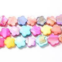 Dyed Shell Beads, Flower, polished, DIY, multi-colored Approx 15 Inch, Approx 