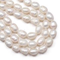 Rice Cultured Freshwater Pearl Beads, Ellipse, DIY, white, 8-9mm Approx 13 Inch 