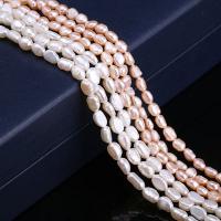Keshi Cultured Freshwater Pearl Beads, irregular, DIY Approx 35-40 cm 