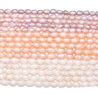 Rice Cultured Freshwater Pearl Beads, irregular, DIY Grade A, 5-6mm Approx 12 Inch 