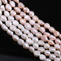 Keshi Cultured Freshwater Pearl Beads, irregular, DIY 10-11mm Approx 11.8 Inch 