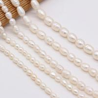 Rice Cultured Freshwater Pearl Beads, irregular, DIY white Approx 10.23 Inch 