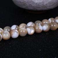 Trochus perles, Haut Coque, Rond, DIY & normes différentes pour le choix, couleurs mélangées, Vendu par brin