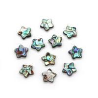 Abalone Shell Beads, Star, DIY, 15mm 