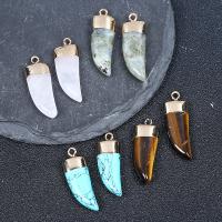 Gemstone Brass Pendants, Natural Stone, with Brass, Wolf Tooth, gold color plated, Unisex 