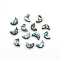 Abalone Shell Beads, Moon, DIY 