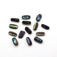 Abalone Shell Beads, DIY multi-colored 