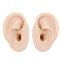 Silicone 3D Ear Displays Model 