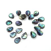 Abalone Shell Beads, Teardrop, DIY, multi-colored Approx 