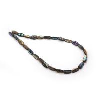 Abalone Shell Beads, DIY multi-colored 