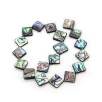 Abalone Shell Beads, Rhombus, DIY multi-colored 