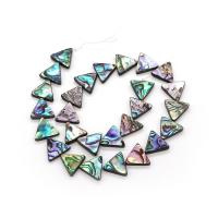 Abalone Shell Beads, Triangle, DIY multi-colored 