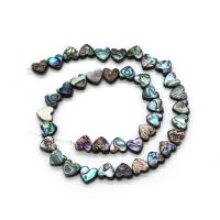 Abalone Shell Beads, Heart, DIY, multi-colored, 10mm Approx 38 cm 