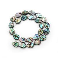 Abalone Shell Beads, Teardrop, DIY multi-colored Approx 38 cm 