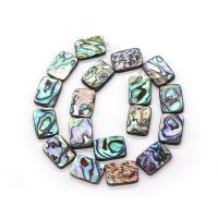 Abalone Shell Beads, Rectangle, DIY multi-colored 