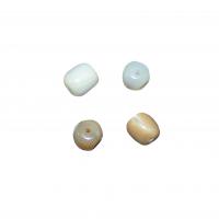 Trochus perles, Boîtier de la poulie, poli, bijoux de mode & DIY & normes différentes pour le choix, plus de couleurs à choisir cm, Vendu par PC