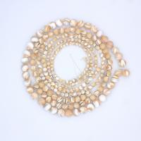Trumpet Shell Beads, Trochus, Round, polished, DIY cm 
