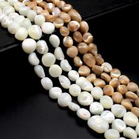 Perles en coquillage trompette, Haut Coque, Irrégulière, poli, DIY, plus de couleurs à choisir, 11-12mm cm, Vendu par PC