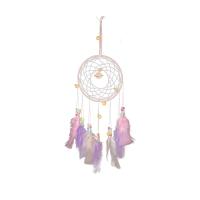 Fashion Dream Catcher, Feather, with Iron, hanging, mixed colors, 510mm 