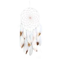 Fashion Dream Catcher, Feather, with Wood & Iron, handmade, hanging, white 