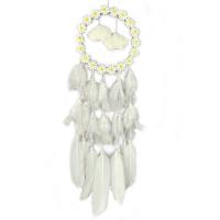 Fashion Dream Catcher, Feather, with Iron, handmade, hanging 