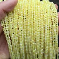 Natural Freshwater Shell Beads, Round, DIY 2mm, Approx 