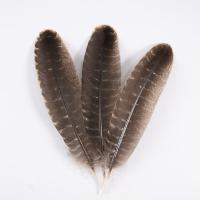 羽毛 装飾フィラー羽根, DIY & 異なるサイズの選択, 無色, 売り手 パソコン